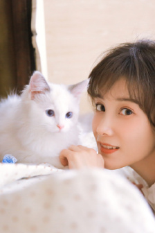 倚天屠龙记之